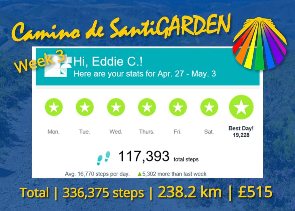 Camino De Santigarden Week 3